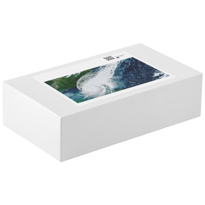 Hurricane Ian Puzzle | 1014 Pieces