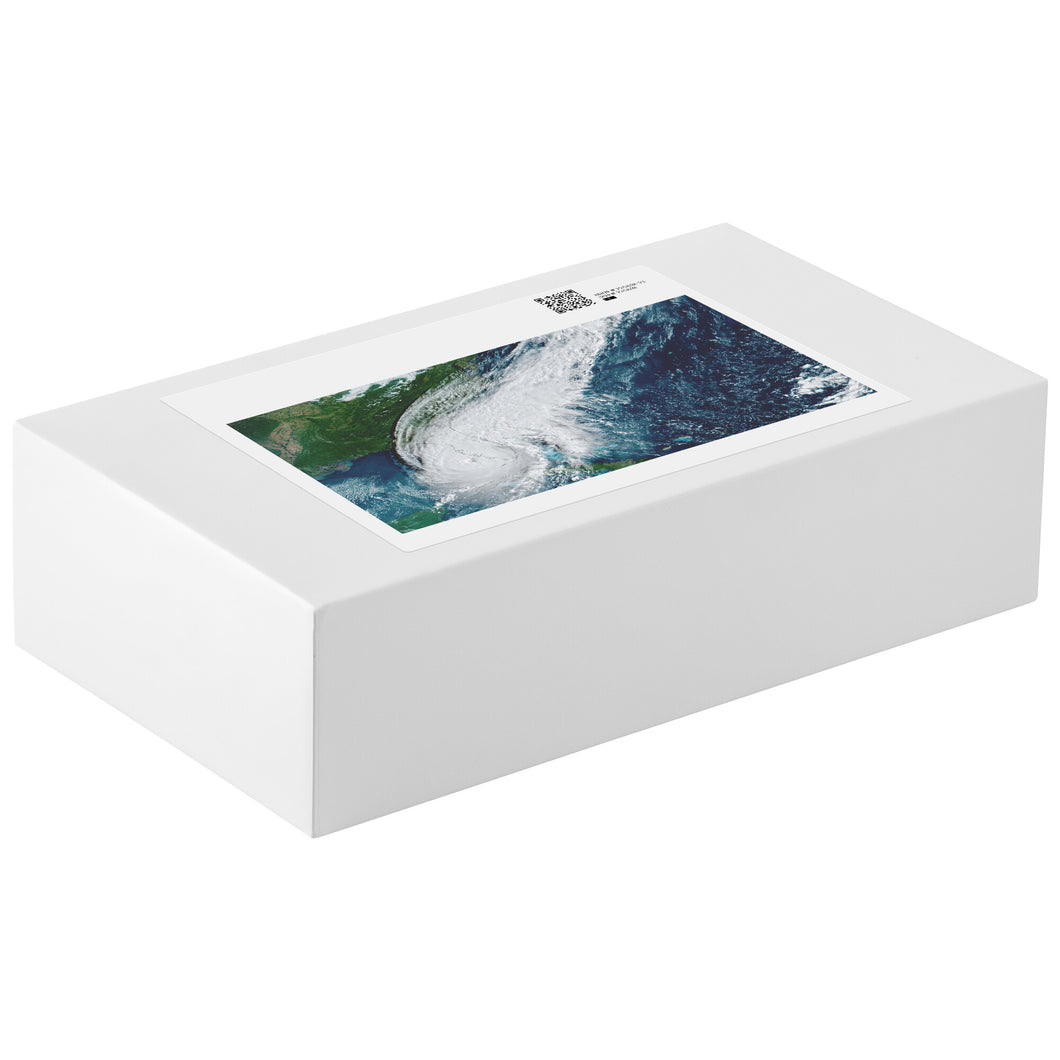 Hurricane Ian Puzzle | 1014 Pieces