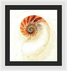 Nautilus - Framed Print